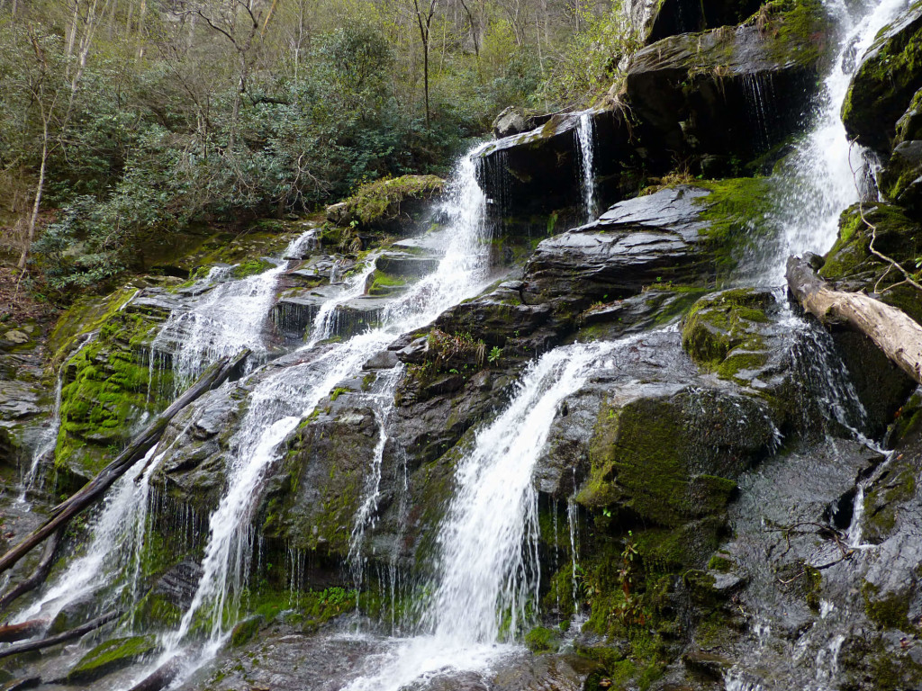 Catawba Falls Trail in Old Fort, North Carolina