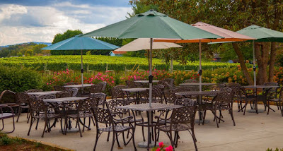 Several sets of black patio furniture with multi-colored umbrellas at a vineyard